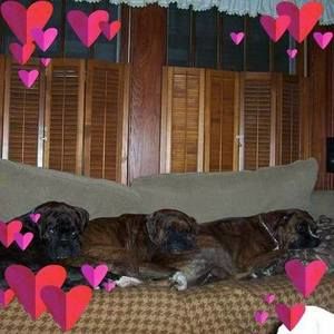 Meet your Posher, Cathy